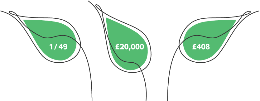 The calculation: 1/49 x £20,000 = £408, depicted in leaves.