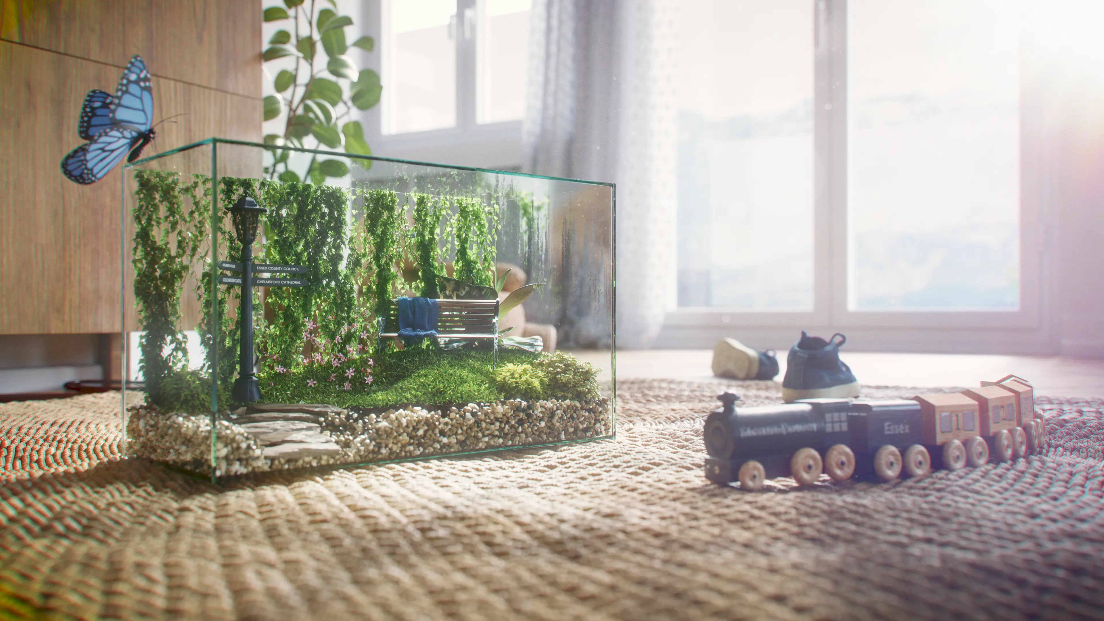 Top view of a terarrium on a rug in a living room.